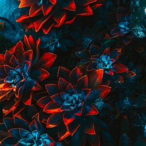 freelance-artist-floral-4 Flower Bed